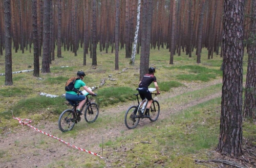 Rennstart im Kiefernwald, Juja hat auf den ersten Metern schon 50% Rückstand