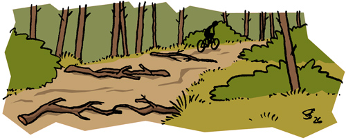 Vielfach mit Ästern verlegter breiter Weg durch den Wald, sich entfernend ein kleiner Radfahrer